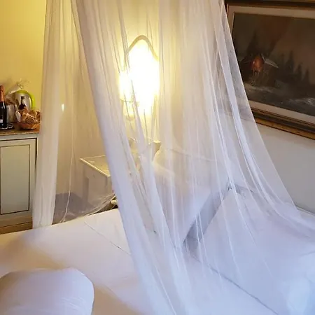 Mi Casa Es Tambien Tu Casa Vips *